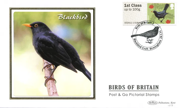 2011_Birds2_BS1079 2011_Birds2_BS1079