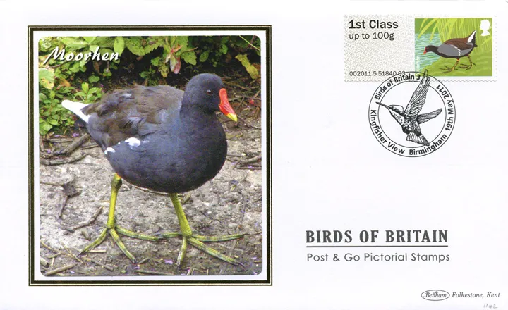 2011_Birds3_BS1142