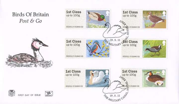 2011_Birds3_Stuart