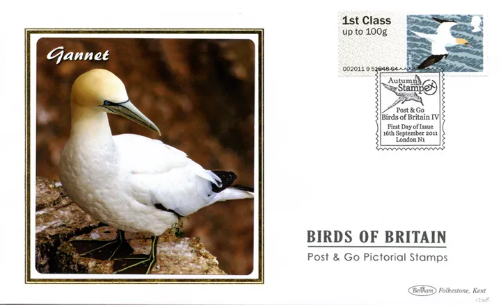 2011_Birds4_BS1208