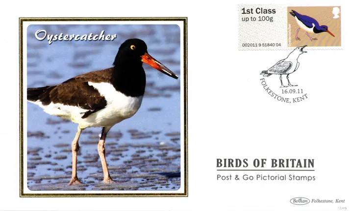 2011_Birds4_BS1209 2011_Birds4_BS1209