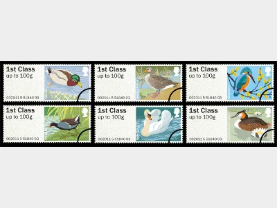 Birds of Britain: Series No.3