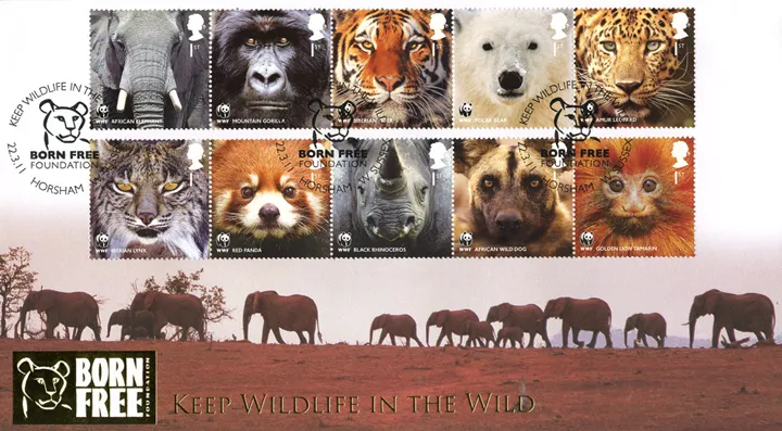 2011_WWF_Buck423 2011_WWF_Buck423