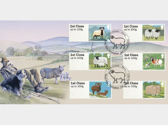 Farm Animals: Series No.1, Sheep