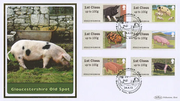 2012_Pigs_BLCS537 2012_Pigs_BLCS537