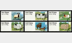 Farm Animals: Series No.1, Sheep