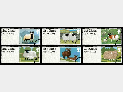 Farm Animals: Series No.1, Sheep