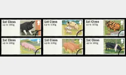 Farm Animals: Series No.2, Pigs