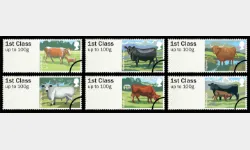 Farm Animals: Series No.3, Cattle