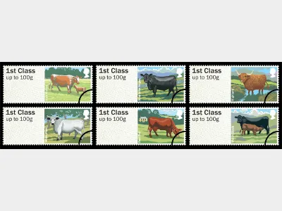 Farm Animals: Series No.3, Cattle