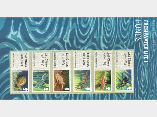 Freshwater Life: Series No.1, Pond Life