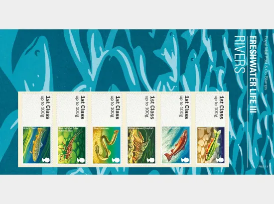 Freshwater Life: Series No.3, Rivers