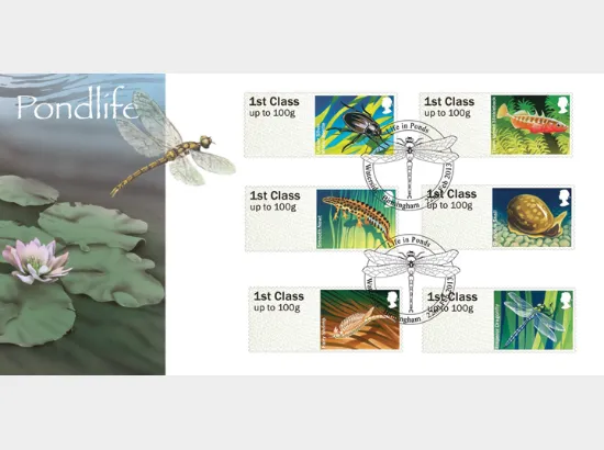 Freshwater Life: Series No.1, Pond Life