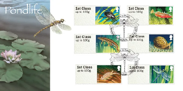 Freshwater Life: Series No.1, Pond Life