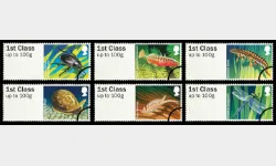 Freshwater Life: Series No.1, Pond Life