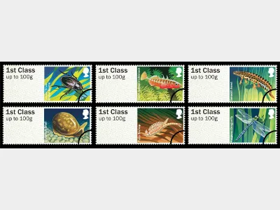 Freshwater Life: Series No.1, Pond Life