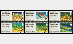 Freshwater Life: Series No.3, Rivers