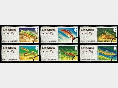 Freshwater Life: Series No.3, Rivers