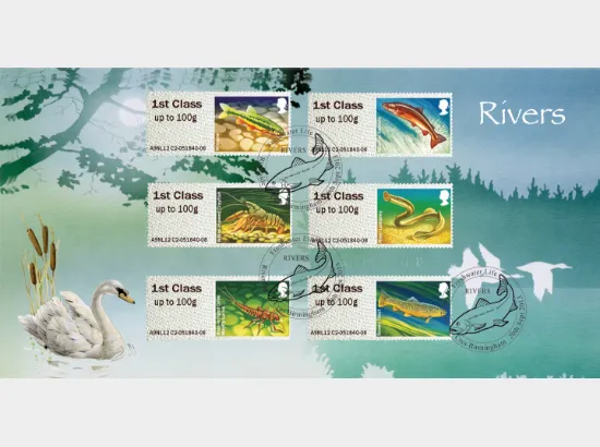 Freshwater Life: Series No.3, Rivers