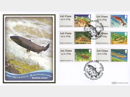 Freshwater Life: Series No.3, Rivers