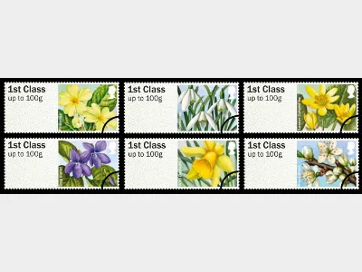 British Flora: Series No.1, Spring Blooms
