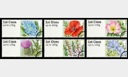 British Flora: Series No.2, Symbolic Flowers