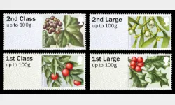 British Flora: Series No.3, Winter Greenery