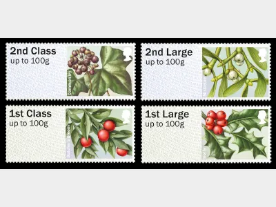 British Flora: Series No.3, Winter Greenery