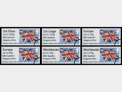 85th Scottish Congress Flag