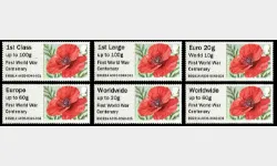 Poppy WW1 Centenary