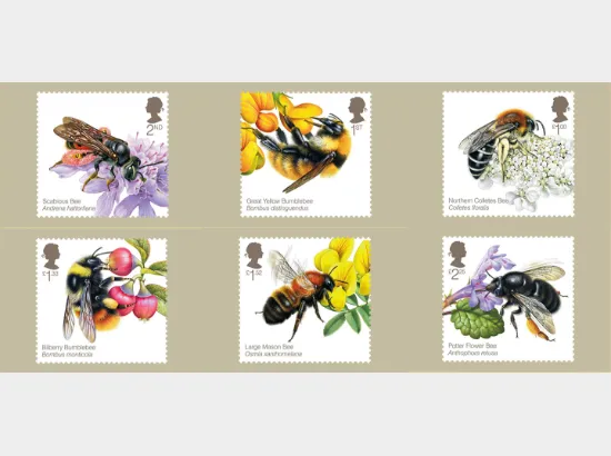 Bees