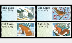 Winter Fur & Feathers