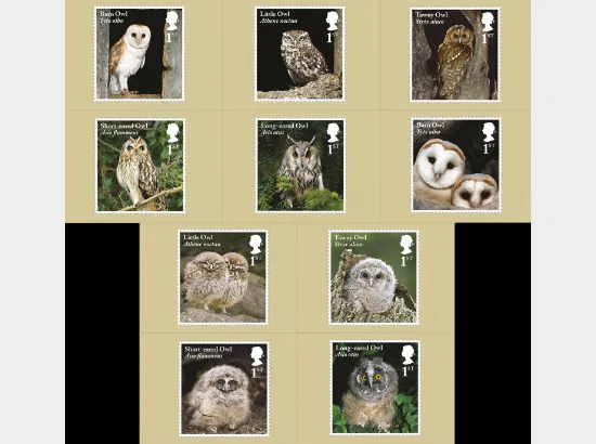 Owls
