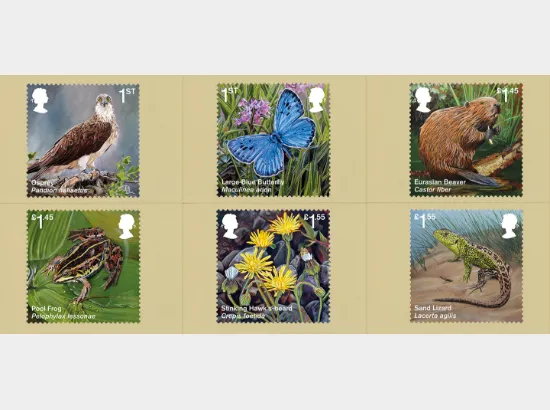 Re-introduced Species