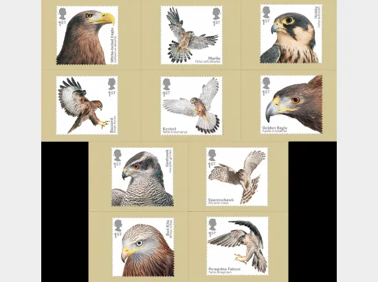 Birds of Prey