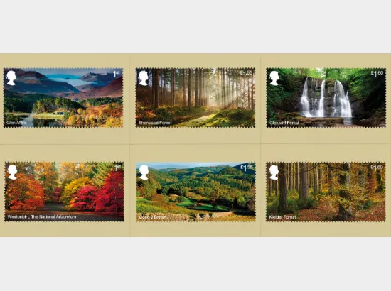 Forests