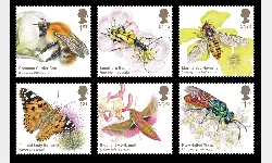 Brilliant Bugs Brilliant Bugs