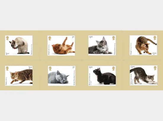 Cats
