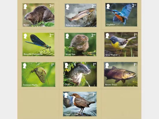 River Wildlife
