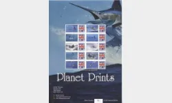 Marlin [Customised Sheet]