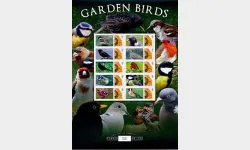 Garden Birds [Customised Sheet]