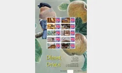 Birds [Customised Sheet]