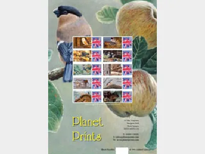 Birds [Customised Sheet]