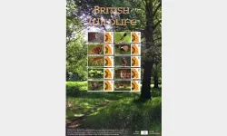 Wildlife [Customised Sheet]