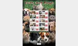 Cats & Dogs [Customised Sheet]