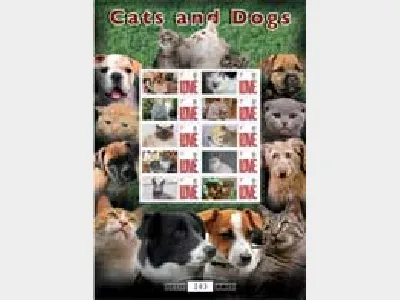 Cats & Dogs [Customised Sheet]