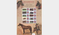 Bloodstock [Customised Sheet]