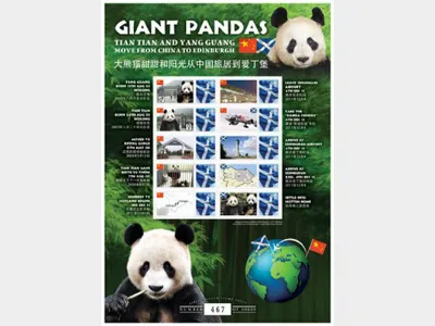 Giant Pandas [Customised Sheet]