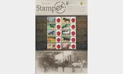 Horses [Customised Sheet]