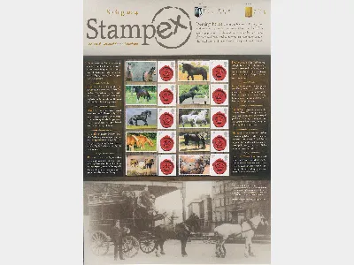 Horses [Customised Sheet]